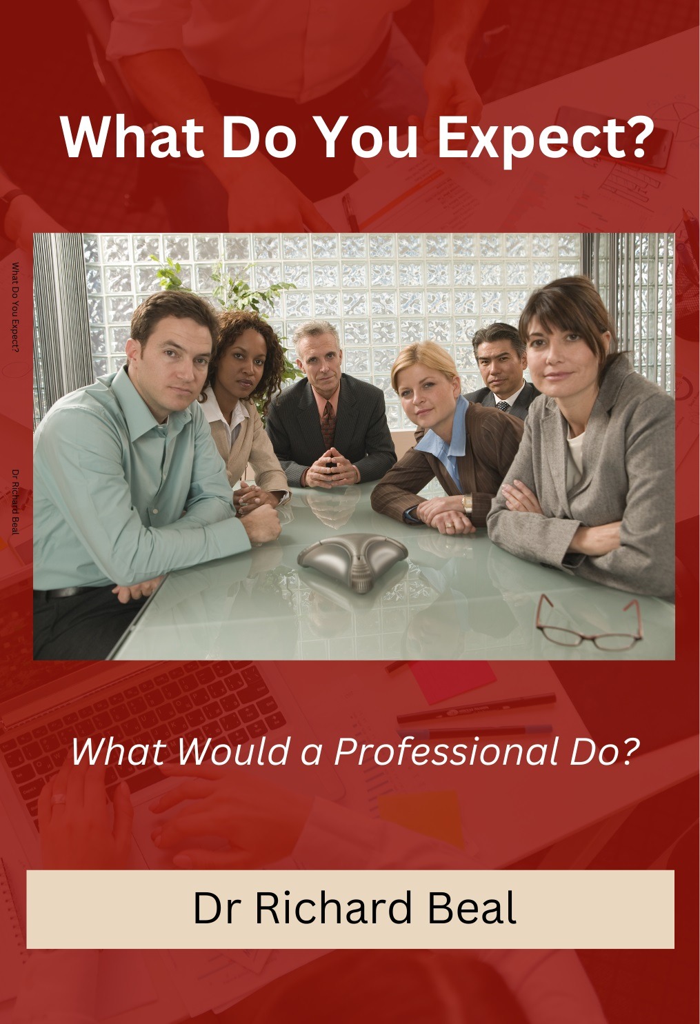 New release! The second eBook in the ‘What Would a Professional Do?’ series!